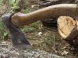 На Волині чоловіка убило деревом під час незаконної вирубки