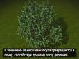 Хіти тижня. У мережі показали, як ховатимуть небіжчиків у майбутньому (відео 12+)