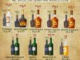 Як подорожчає алкоголь в Україні показали у яскравій інфографіці