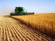 Україна аграрна: ТОП-10 бізнесменів, які найбільше заробляють на сільському господарстві