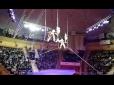 НП у цирку: Російська гімнастка зірвалася із чотириметрової висоти (відео)