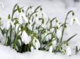 Теплий одяг далеко не ховаємо: Весна буде з мінливою погодою