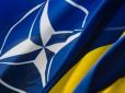 Членство України в НАТО: Відомий експерт порівняв програми Порошенка і Зеленського (відео)