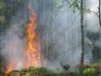 Ситуація дуже серйозна: На Житомирщині горять ліси (фото)