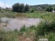 Через сильну негоду на Одещині з річок викидає рибу (фото, відео)