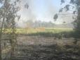 Обгорілий труп в очереті виявили на Харківщині