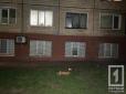 Захищав хазяїна: У Кривому Розі собаку викинули з вікна багатоповерхівки