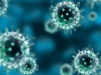 Часник, дитяча сеча і промивання носа не допоможуть: Як не треба боротися з коронавірусом