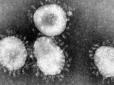 З'явилося розпорядження Кабміну про екстрені заходи по боротьбі з коронавірусом (документ)