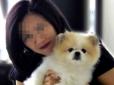 Заразився від хазяйки: У Гонконзі помер пес, в якого виявили коронавірус (відео)