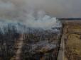 У ДСНС пояснили, чому так довго не можуть побороти пожежі на Житомирщині