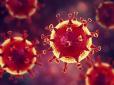 Не все втрачено: Вчені заявили, що у частини населення може бути імунітет до коронавірусу