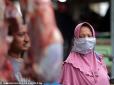 Китай відпочиває: В Індонезії виявили секретний ринок з кажанами (фото)
