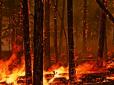 Не коронавірусом єдиним: У російському Сибіру лісовими пожежами охоплено десятки тисяч гектарів