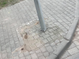 Люди не стримують емоцій: У Львові комунальники намалювали на тротуарі бруківку, аби не класти нову (фотофакт)