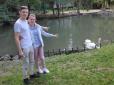 Львів'яни щиро дякують героям: Молодята з Одеси під час весільної подорожі врятували лебедя