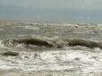 Курортну Кирилівку захлинає штормове море (відео)