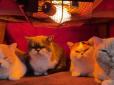 Вчіться правильно меблями користуватися, двоногі: Найкращий спосіб пережити зиму від японських котів (відео)