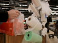 Заборона пластикових пакетів у супермаркетах: Українцям загрожують штрафи, але є винятки