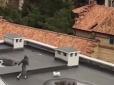 Це була сумнівна ідея: Хазяїн вирішив вигуляти собаку на даху будинку, але щось пішло не так (відео)