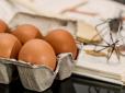 Чим замінити яйця у солоній та солодкій випічці - експерт поділилась секретом