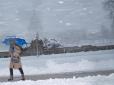 США накрив сніговий шторм: Школи і урядові офіси закриті, рейси скасовані, є загиблі (фото)