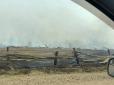 Палають 15 сіл, одне вже повністю згоріло: У Росії вирують потужні лісові пожежі (фото)
