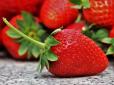 Чудо-підживлення для полуниці в травні - зробіть це зараз і ласуйте великою і смачною ягодою (відео)
