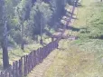 Ніби знає, на що звертати увагу: Прикордонники показали 