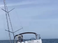 Перетворюються на найпотужнішу тваринну загрозу у морі: В Атлантичному океані косатки потопили яхту з людьми на борту (відео)