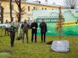 Обрали дуб як символ незламності: У 