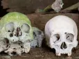 Цікаве відкриття! Учені розкрили таємницю єдиної відомої зеленої мумії