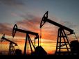 Удар для Кремля: Експорт російської нафти досяг максимуму, але доходи падають